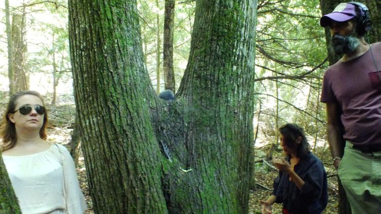 © CHŒUR TAC-TIL, FORÊT DE LA SAINTE BAUME